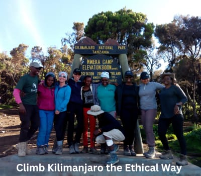 kilimanjaro blog