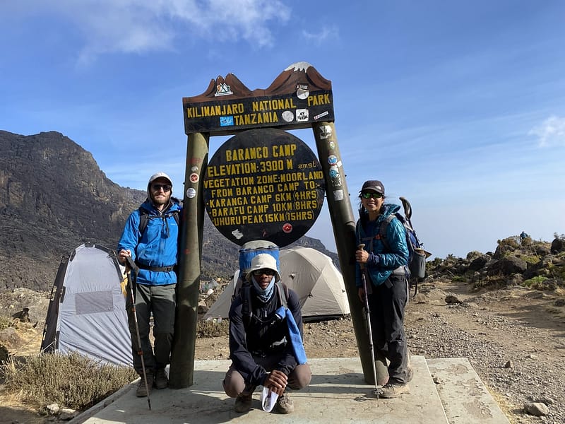 What Qualifications Should I Look for in a Kilimanjaro Guide