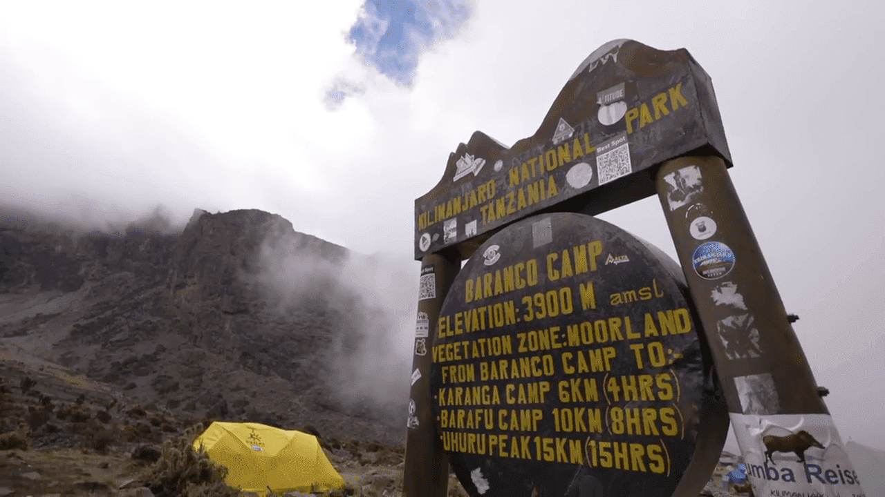 Do I Need to Hire a Guide to Climb Kilimanjaro Africa